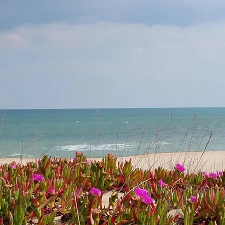 T2 Dans Village Naturiste En Bord De Leucate